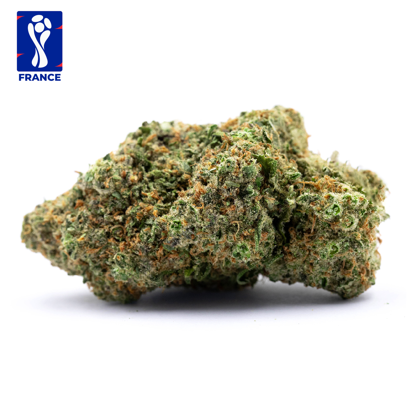 FRENCH GLUE - FRANCE