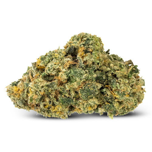 FRUIT PUNCH (🇳🇱AMSTERDAM GENETICS)