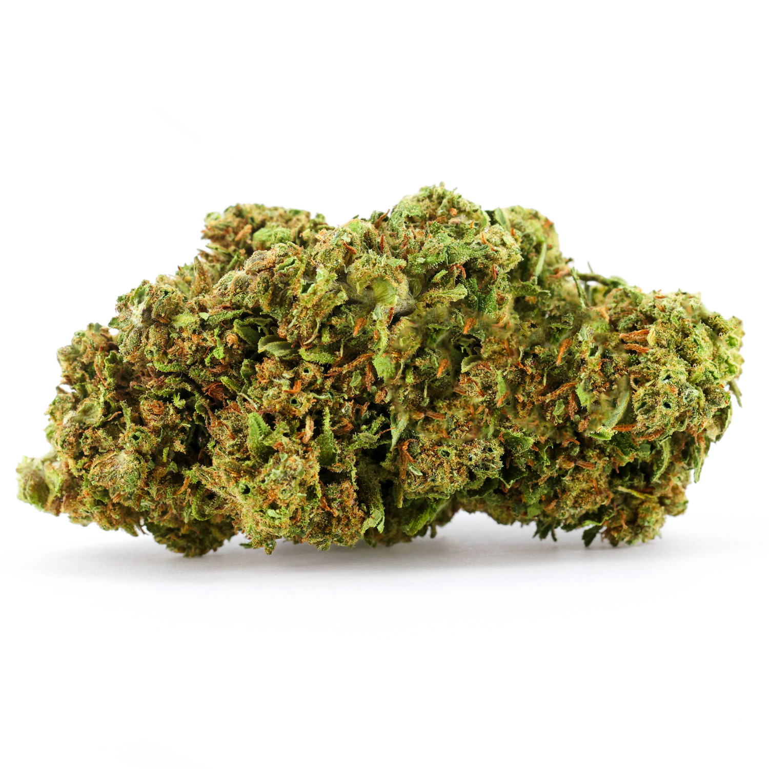 LAMB'S BREATH (🇯🇲 JAMAICAN GENETICS) - Stormrock