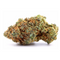 LEMON DIESEL CBG - Stormrock