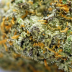 LAMB'S BREATH (🇯🇲 JAMAICAN GENETICS) - Stormrock