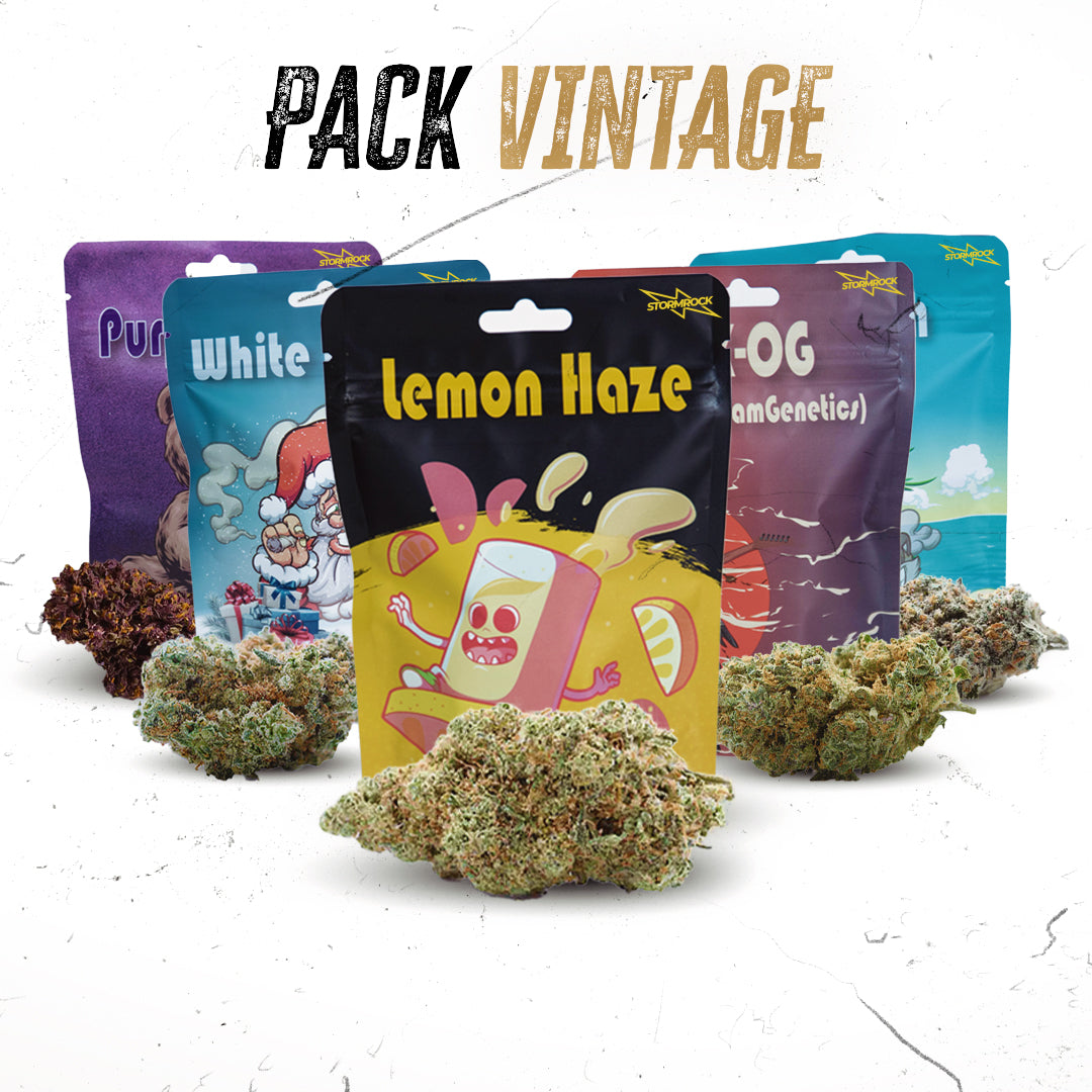 TROPICAL KUSH - Stormrock