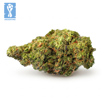 PATAGONIA KUSH - ARGENTINE