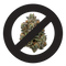 Sans Echantillon 🥲 - Stormrock