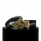 DUO St VALENTIN - CALIBOX - Stormrock