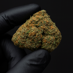 SOUR DIESEL - CALIFORNIA GENETICS