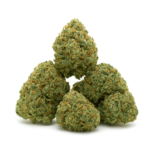 SMALL BUD BUBBLE GUM CBD+ - Stormrock