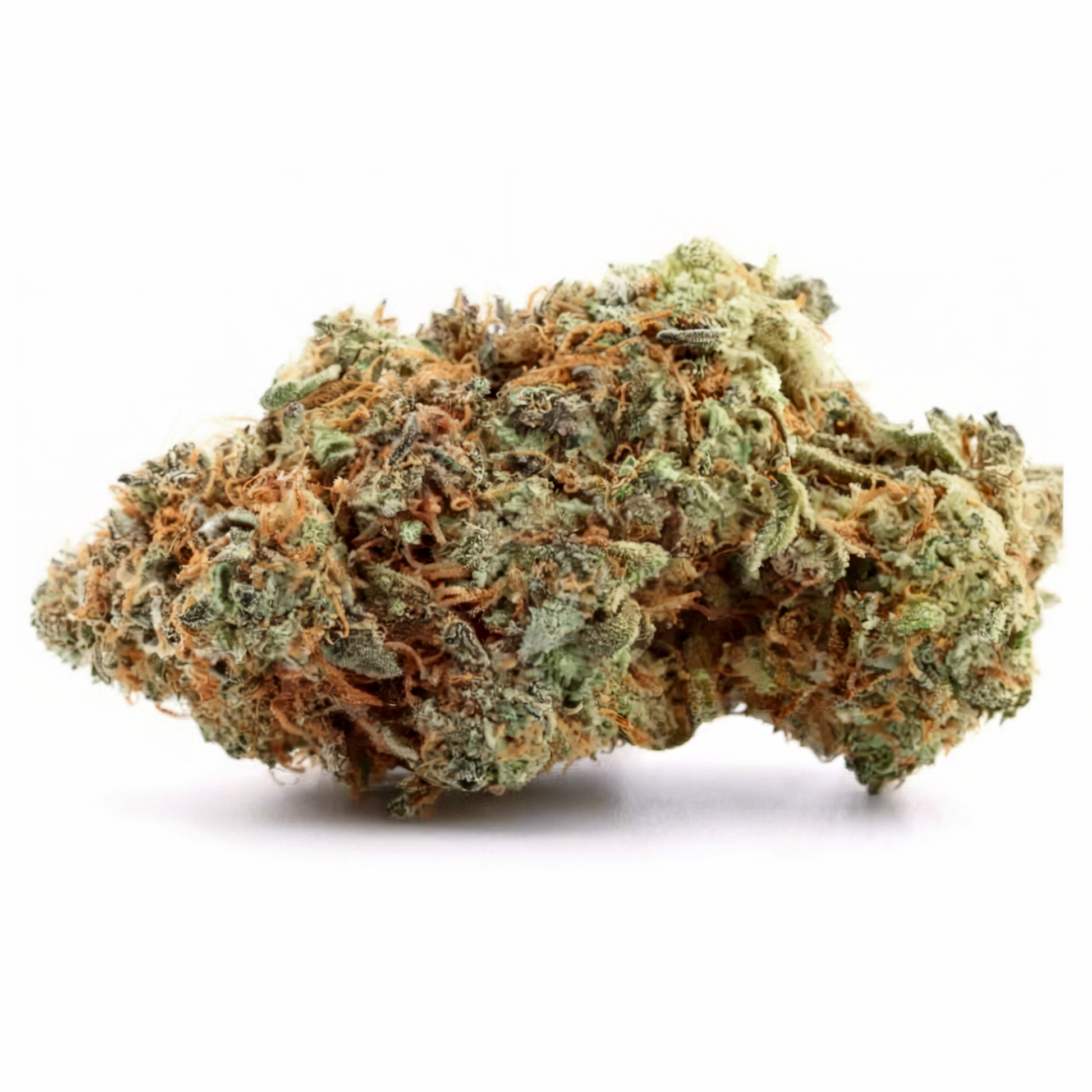 WEDDING CAKE (CALIFORNIA GENETICS) - Stormrock