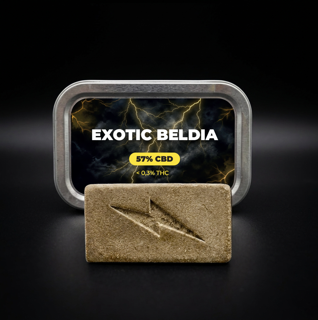 EXOTIC BELDIA