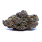 PURPLE AMNÉSIA