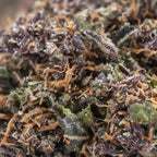 PUMPKIN KUSH - Stormrock