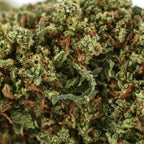 KALI HAZE (🇯🇲 JAMAICAN GENETICS) - Stormrock