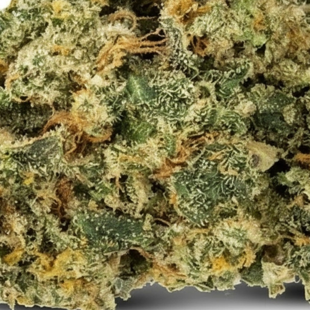 FRUIT PUNCH (🇳🇱 AMSTERDAM GENETICS)