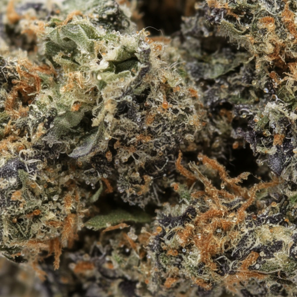 DIESEL CAKE - Stormrock