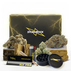 PACK DÉCOUVERTE - MIXTE CBD+ - Stormrock
