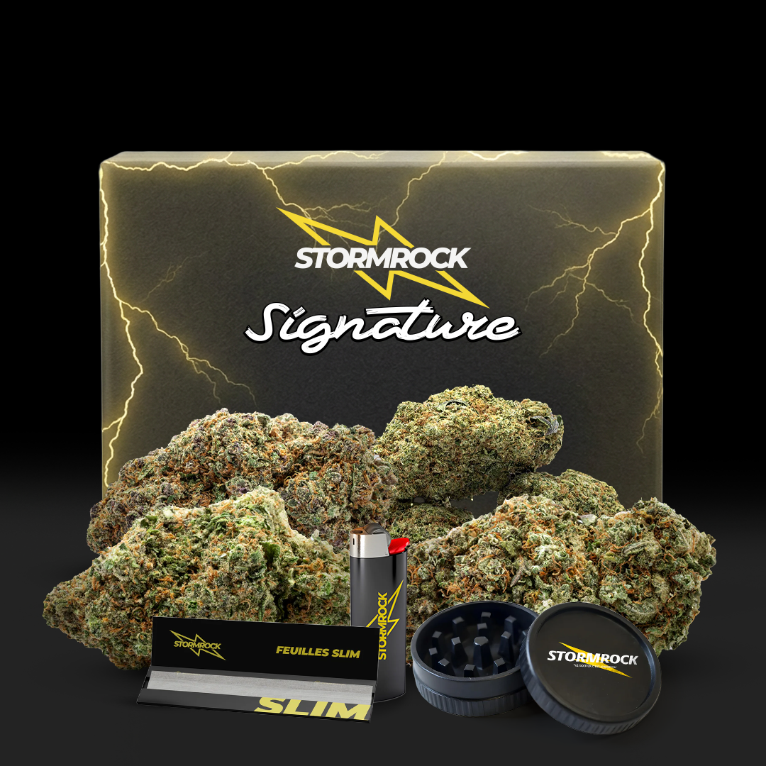 PACK SIGNATURE STORMROCK - Stormrock