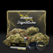 PACK SIGNATURE STORMROCK - Stormrock