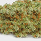 GIRL SCOOT COOKIES