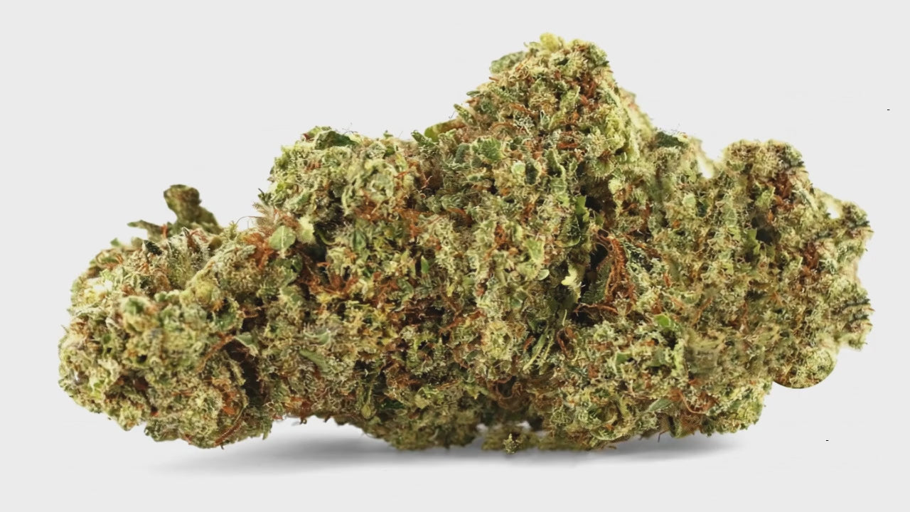 ACAPULCO GOLD (🇺🇸 CALIFORNIA GENETICS)