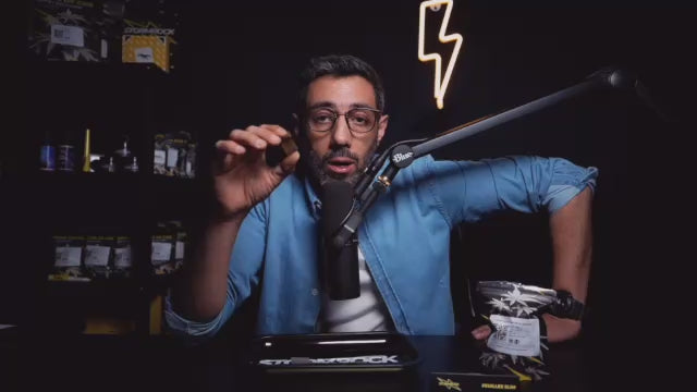 FROZEN BLACK (🇺🇸 AMERICAN GENETICS)