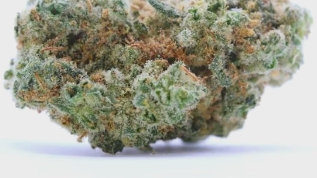 WHITE WIDOW