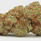 SKUNK #1 (CALIFORNIA GENETICS)