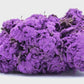 SUPER PURPLE HAZE