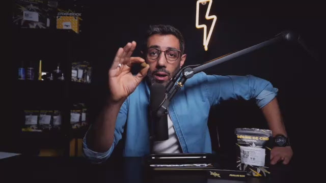 GREEN CRACK (🇺🇸 AMERICAN GENETICS)