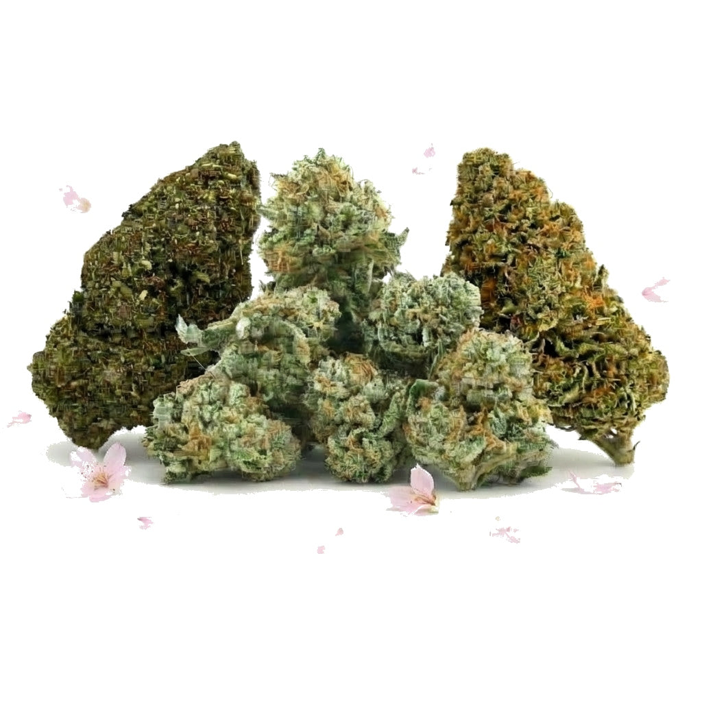 PACK SPÉCIAL PRINPTEMPS - ÉDITION LIMITÉE - Stormrock